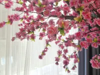 โรงแรมจินเฟิง หมิงเหริน