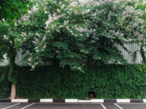 Indochina Hotel Hotels in Aranyaprathet