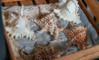 Summer Be Higher Inn