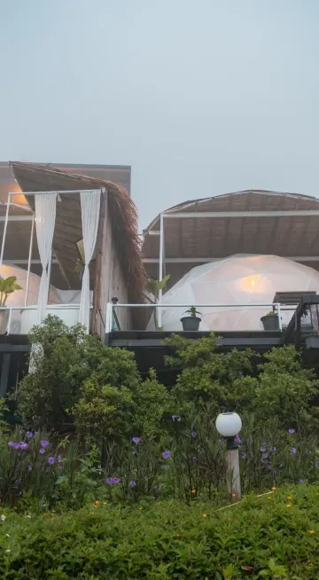 ตะวันโดม