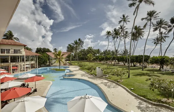 諦樂雅·卡盧特勒