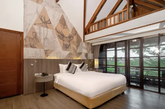 Tree House Junior Suite