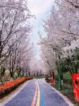 Mehood Lestie Hotel (Suzhou High-Tech Zone Science City Branch) - Mountain view