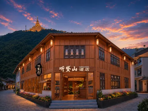 Ting Daishan Hotel - bar