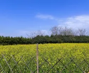 She County Taolu Jingshe Hui Culture Boutique Homestay Hotels in She County