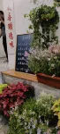佛山黃皮樹下青年旅舍