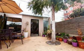 Pig Pig • Shiguang Inn