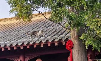 xunjixiangminsu