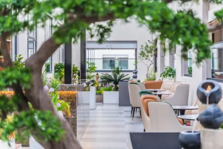 Jinan Yaoqiang International Airport Madison