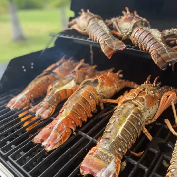 Magical Territory  beachfront hotel La Guajira