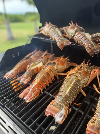 Magical Territory  beachfront hotel La Guajira Отели в г. Дибулья