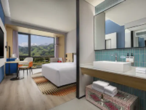 HOLIDAY INN EXPRESS NALATI Hotels in Xinyuan