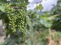 Jisandongzhu Homestay (Meili Snow Mountain Scenic Area) Hotels near Meili Snow Mountain Lookout