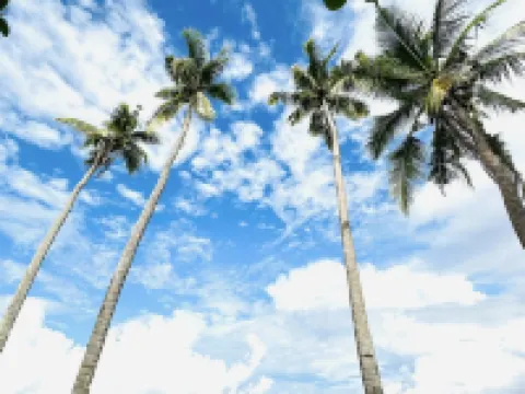 Whole Bali Villa Stylled w/ Pool 波克酒店