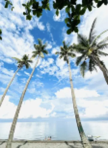 Whole Bali Villa Stylled w/ Pool