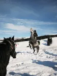 雪山來信·溪山山居民宿