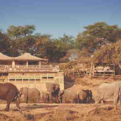 Savute Elephant Lodge Hotel Exterior