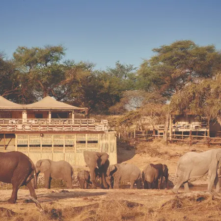 Savute Elephant Lodge