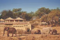 Savute Elephant Lodge