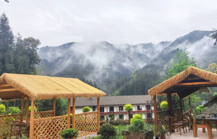 Wawushan Jingxin Courtyard Homestay
