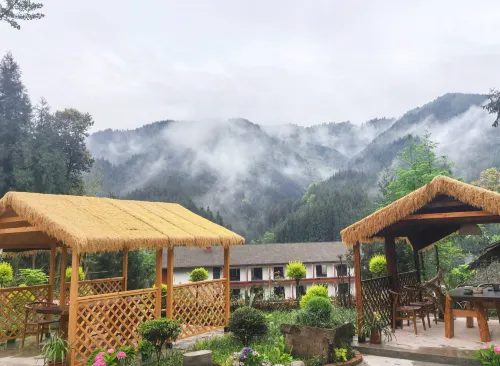 Wawushan Jingxin Courtyard Homestay - วิวภูเขา