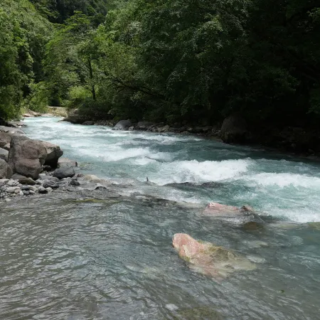 Baoxing County Zuiyunjian Homestay