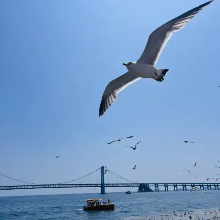 Dalian Xinminghui Hotel Apartment (Xinghai Square)