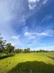 Janruang Homestay  Janruang Homestay - Wi-Fi