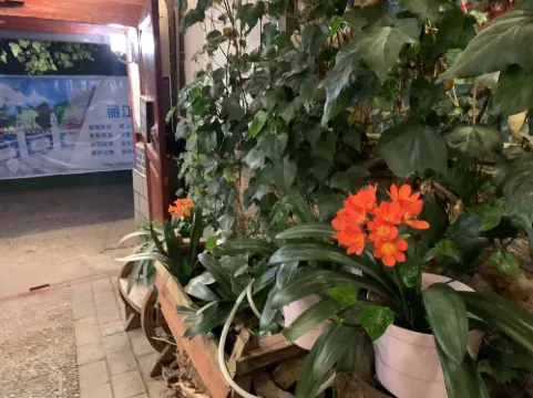 Delamu Youth Inn Photos