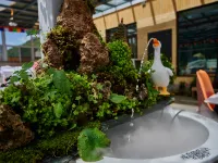 Diebu Zagana Gesang Medo Homestay Hotels in Têwo County