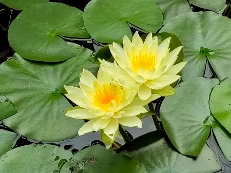 Maoshan · Zhidao Forest Hot Spring Home stay Отели рядом с достопримечательностью «Yuanfu Wanning Palace»