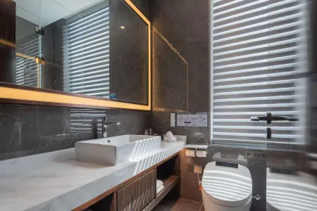 난징 남부고속철도역 즈이 톈위에 호텔