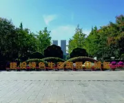 Borrman Hotel (Jining Rencheng District Government Sino-German Square) - Scenic