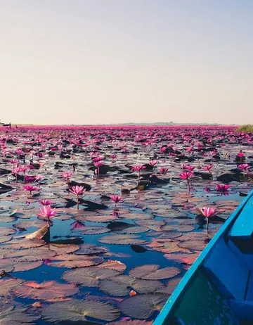 รูปภาพของหอมดึกรีสอร์