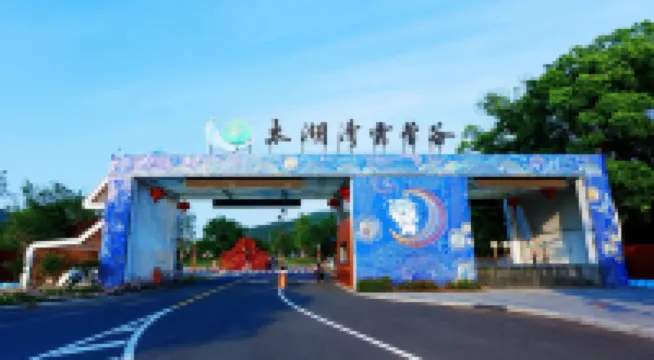 常州太湖灣露營谷 嬉戲谷-靈山大佛-拈花灣景區酒店