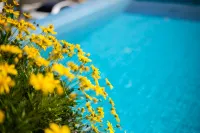 Sunset and Sea View Homestay in Early Summer (Zhangzhou Village Branch) - piscina