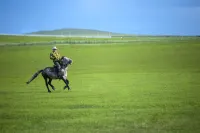 Chaha'erbu Baima Daying Mongolian Yurt