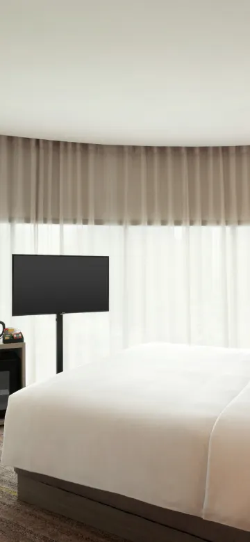 สแตนดาร์ด เตียงคิงไซส์ 1เตียง (ไม่มีโซฟาเบด)