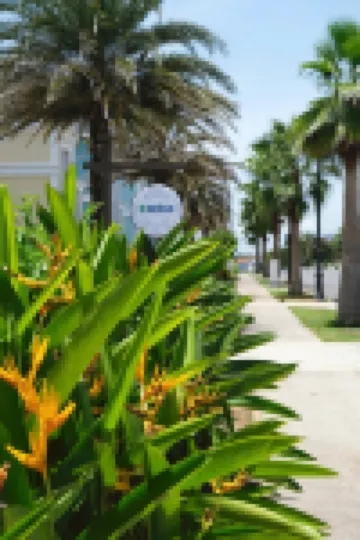 Novaworld Phan Thiet - Alala Stay