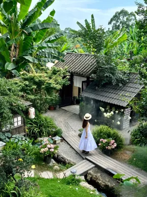 A Tree · Happiness Garden Inn