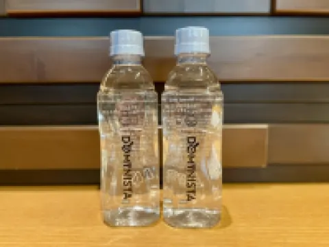 和歌山天然温泉多米高級酒店 和歌山酒店