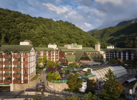 Osaek Greenyard Hotel