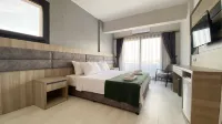 ميدوس هوتل - غرفة مطلة على الجبل