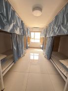 Migratory Hostel