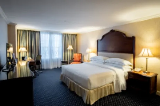 Barceló San Salvador