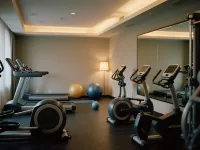 Paris Hotel Lishui Jinyun (Huzhen Branch) - Gym
