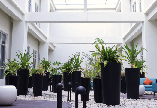 3. 마닐라 차이나타..