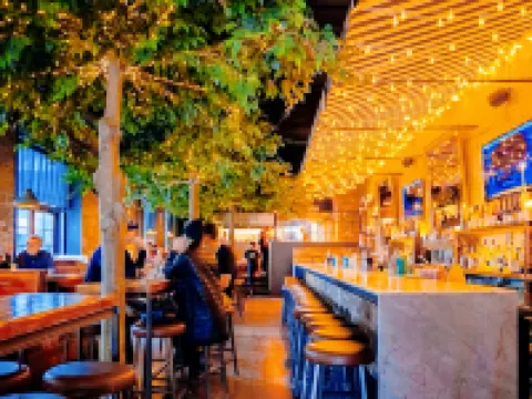 多倫多市中心楓林苑小居 多倫多酒店