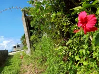 shimachura OHGiMi Hotels in Higashi