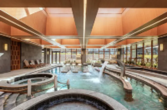 Aershan Jinjianggou International Weijing Dujia Hot Spring Hotel